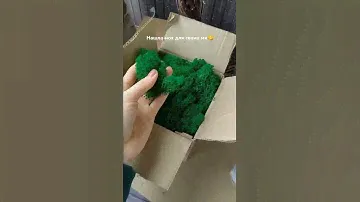 я балдею от декора с мхом😁