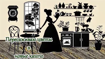 Красивое кашпо из супницы  Декор цветочного горшка  Пересадка комнатных растений