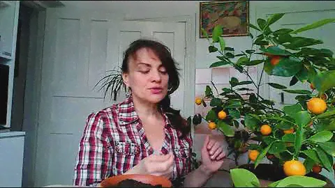 Комнатный мандарин (каламондин): уход и черенкование