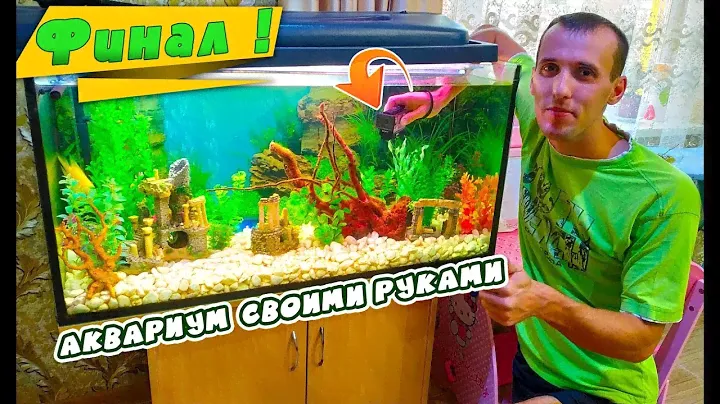 Оформление аквариума на 200 литров для начинающих от А до Я