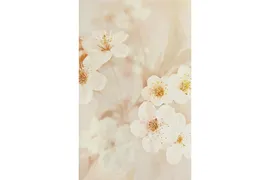 Шахтинская плитка Сакура корич 04 Декор 25х40